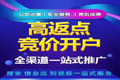 成功运用SEM技术提升网站流量的案例研究